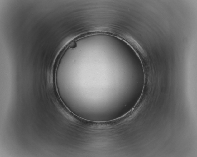 X0000113040884200909031310