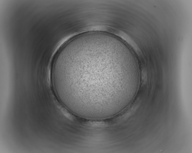 X0000113040886200909031309