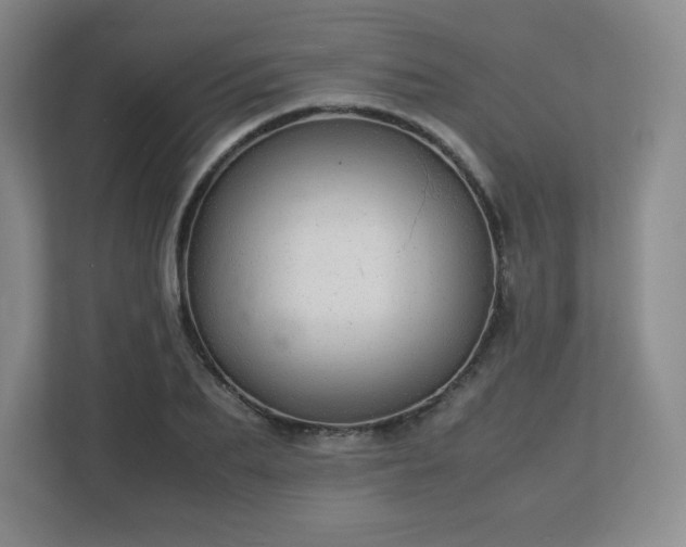 X0000113040887200909031309