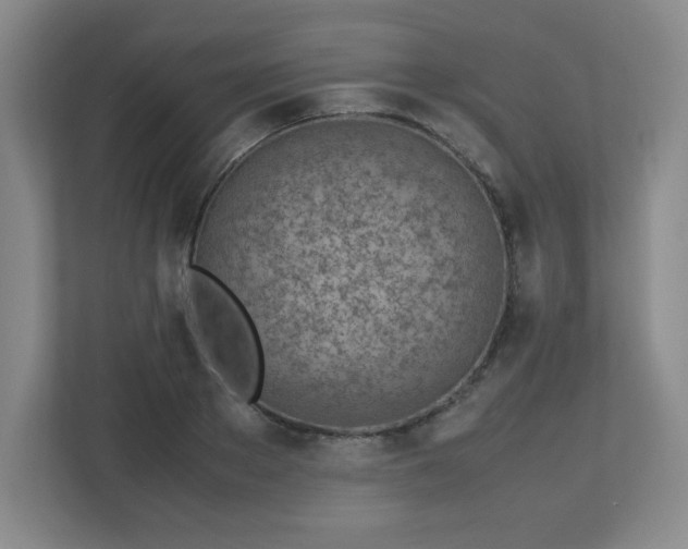 X0000113040889200909031309