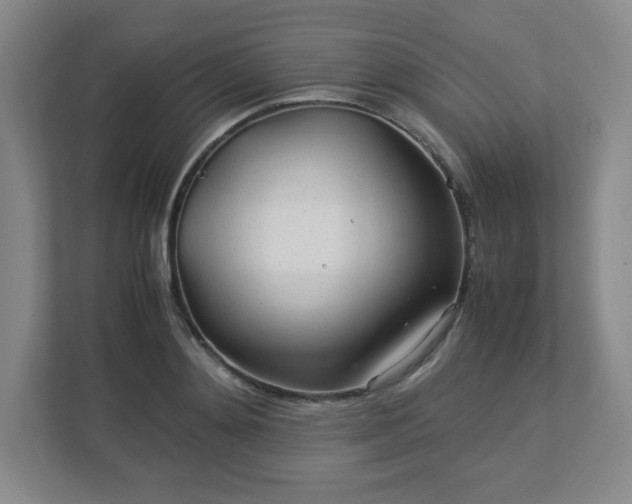 X0000113040892200909031309