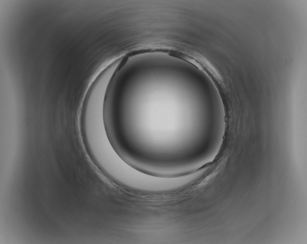 X0000113040893200909031309