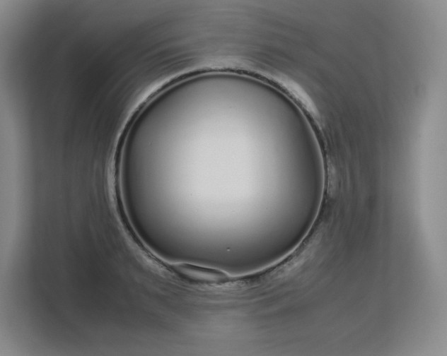 X0000113040895200909031309