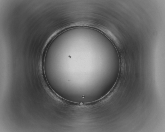 X0000113040896200909031309