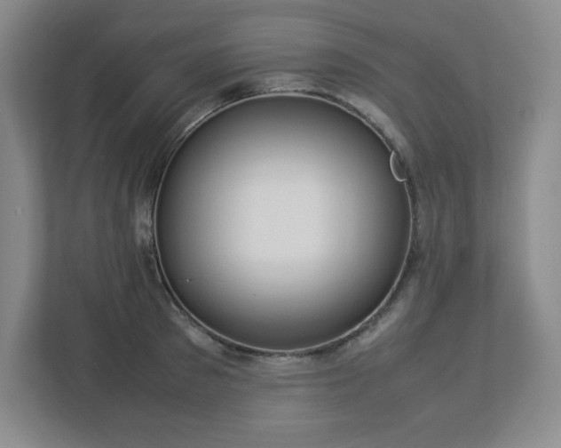 X0000113040897200909031309