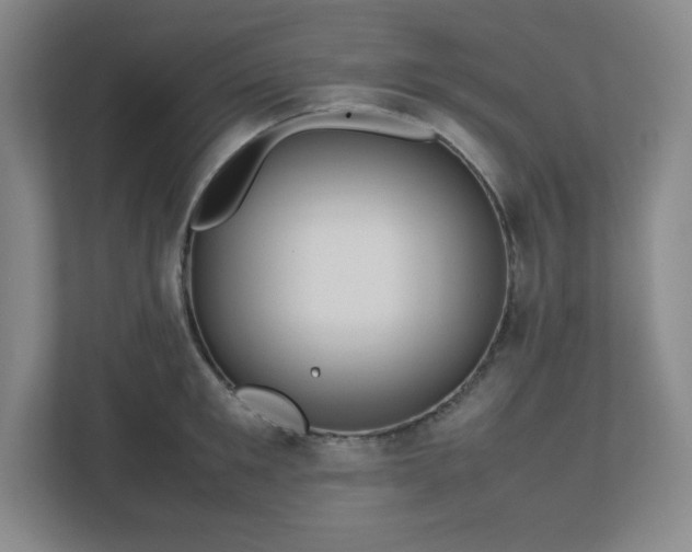 X0000113040901200909031309