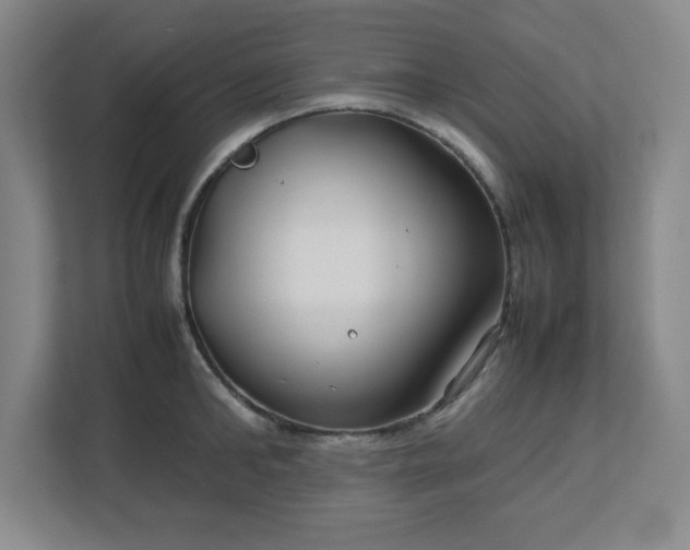 X0000113040902200909031309