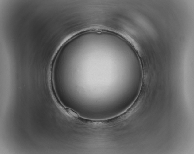 X0000113040903200909031309