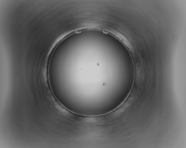 X0000113040904200909031309