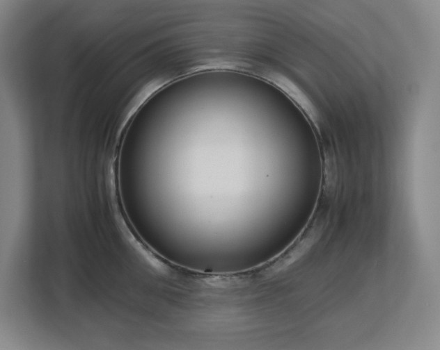 X0000113040906200909031309