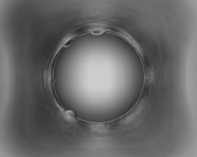 X0000113040909200909031309