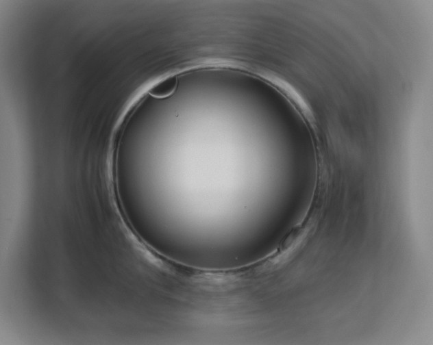 X0000113040910200909031309