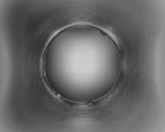 X0000113040911200909031309