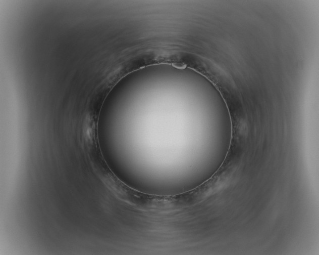 X0000113040914200909031309