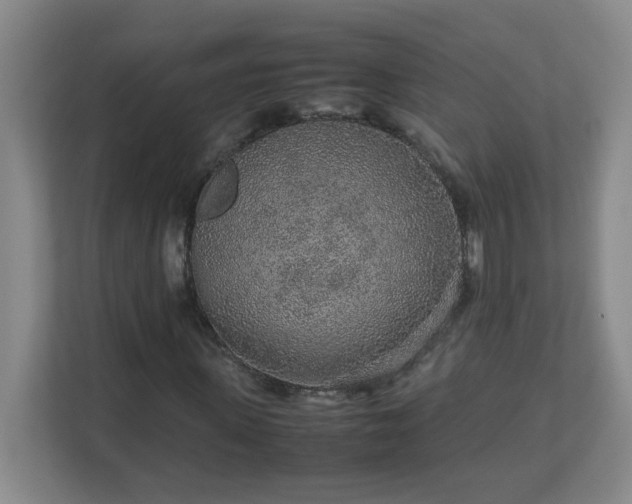 X0000113040915200909031309