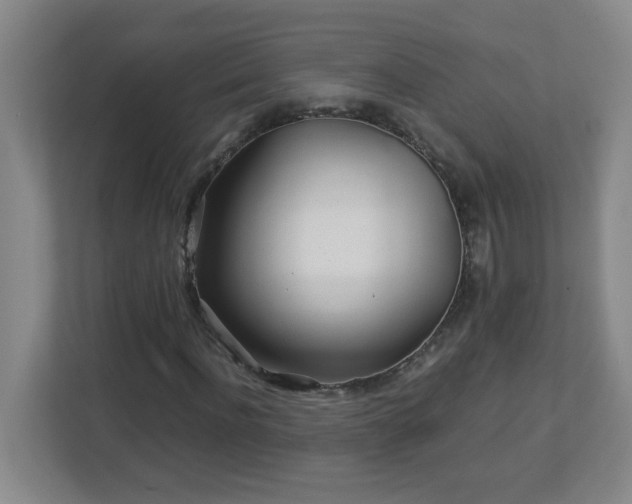 X0000113040916200909031309