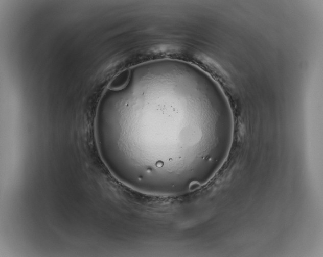 X0000113040917200909031309