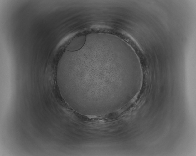 X0000113040919200909031309