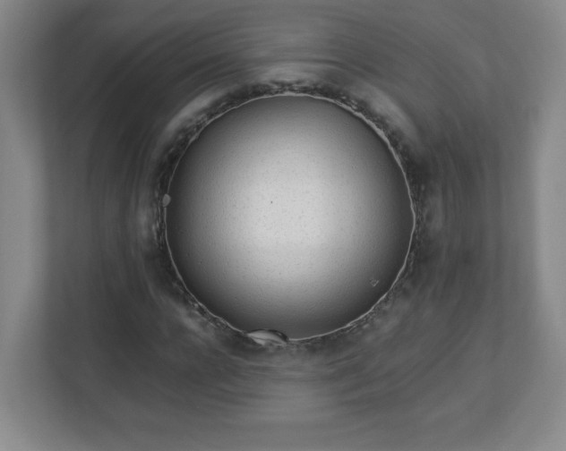 X0000113040920200909031309