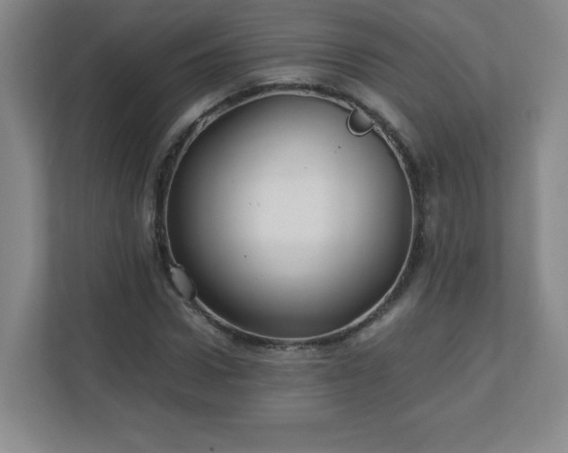 X0000113040922200909031309