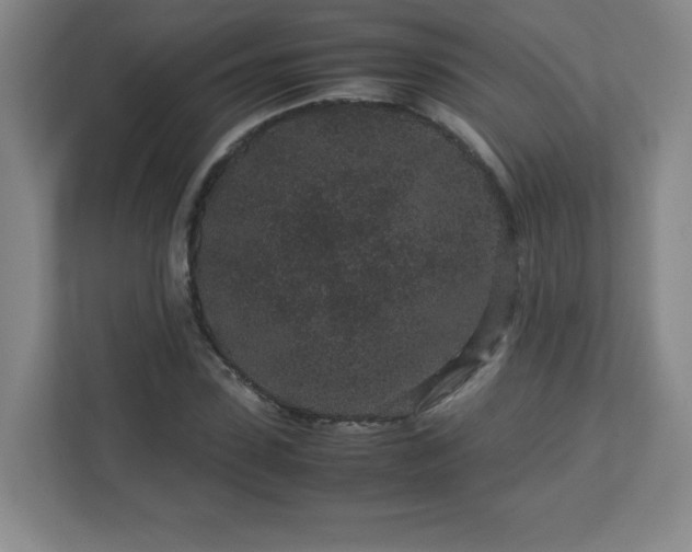 X0000113040923200909031309