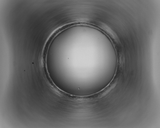 X0000113040924200909031309