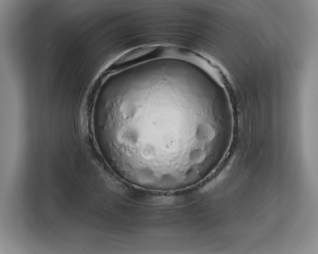 X0000113040925200909031309