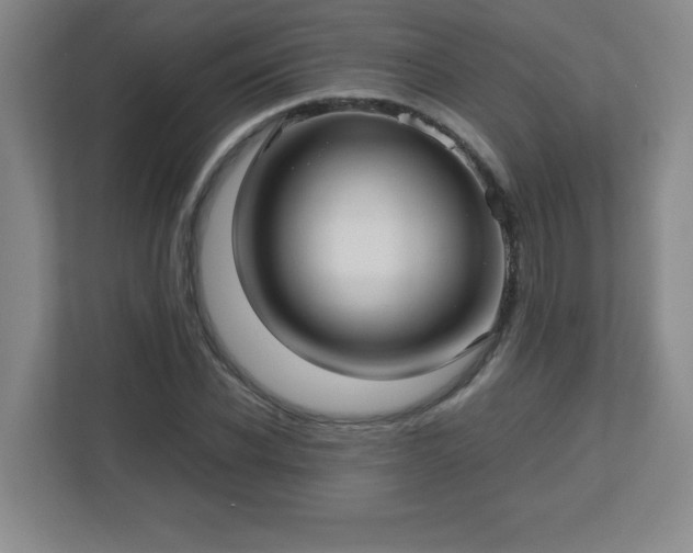 X0000113040926200909031309