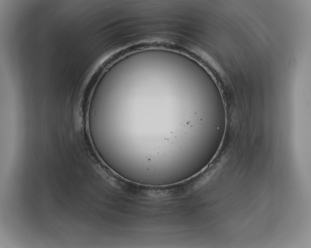 X0000113040927200909031309