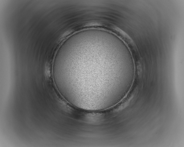 X0000113040929200909031309