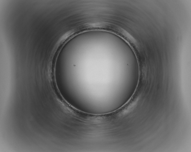 X0000113040930200909031309