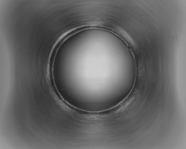 X0000113040932200909031309