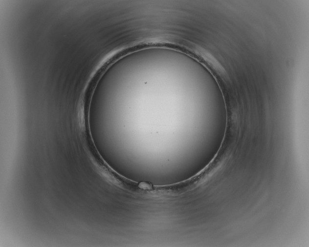 X0000113040934200909031309