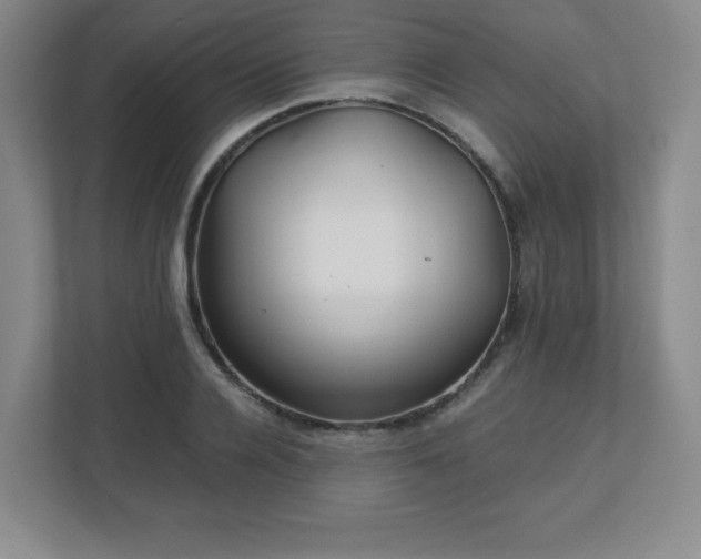 X0000113040936200909031309