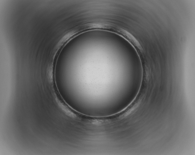 X0000113040938200909031309