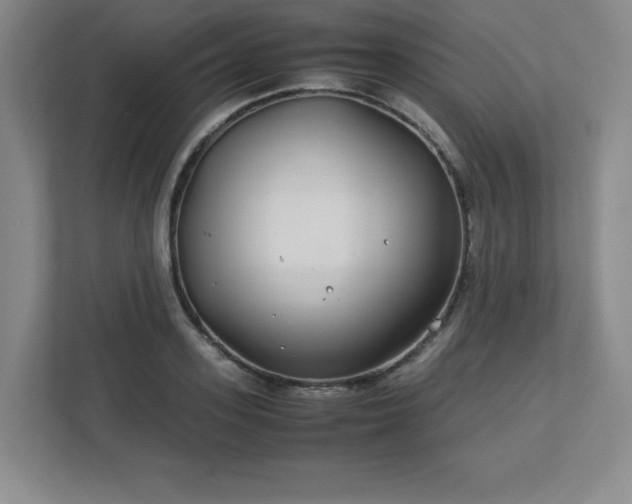 X0000113040939200909031309