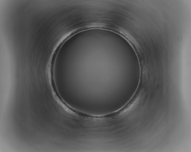 X0000113040941200909031309