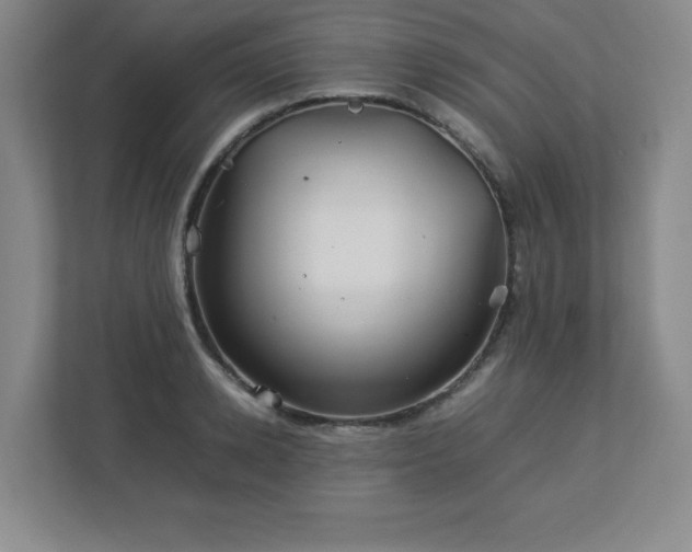 X0000113040942200909031309