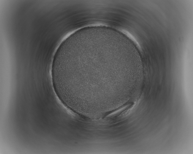 X0000113040943200909031309