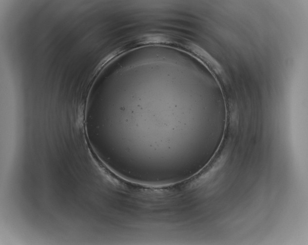 X0000113040945200909031309