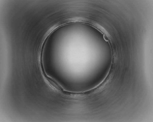 X0000113040946200909031309