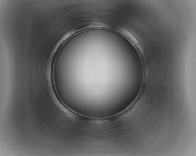 X0000113040947200909031309