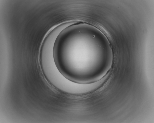 X0000113040948200909031309