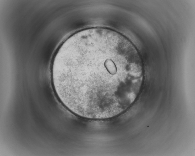 X0000113040950200909031309