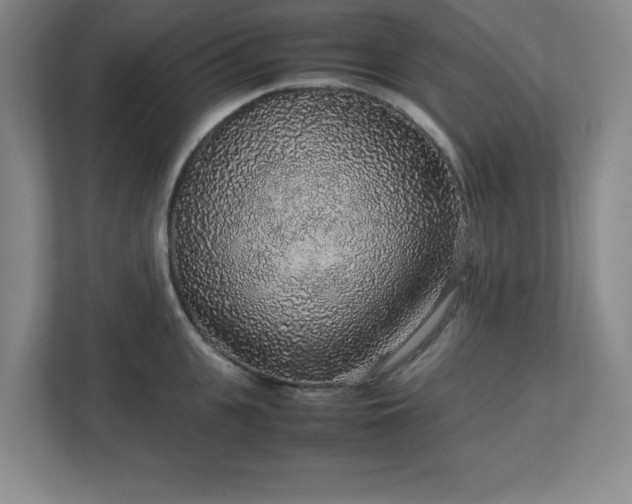 X0000113040951200909031309