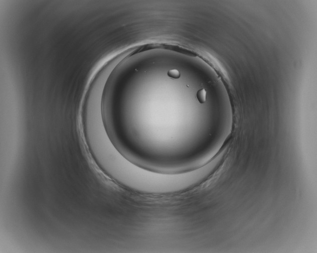 X0000113040952200909031309