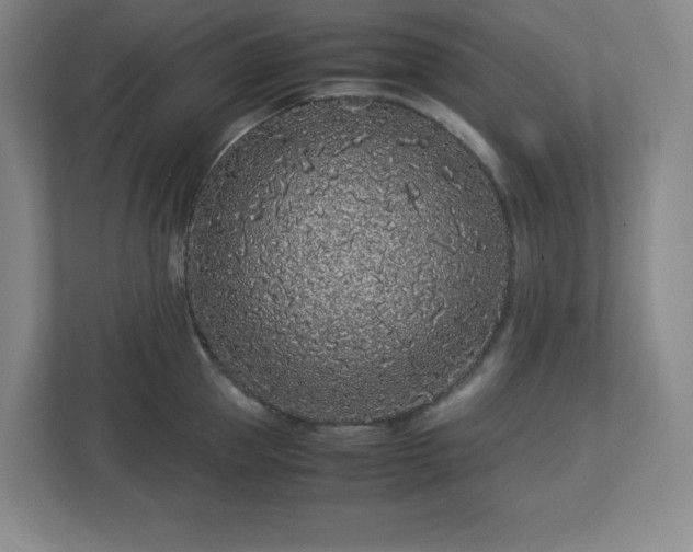 X0000113040953200909031309