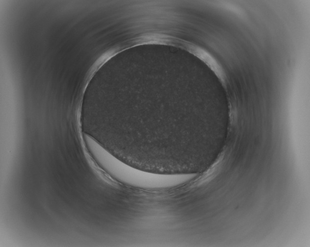 X0000113040954200909031309