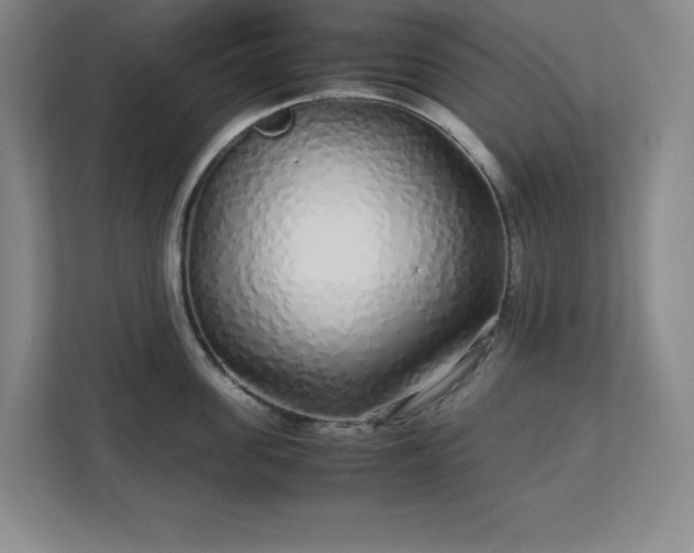 X0000113040955200909031309