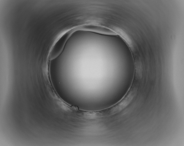 X0000113040956200909031309